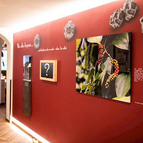 © KOGLERs Pfeffermühle Hotel & Restaurant > foto_8.jpg foto_8.jpg