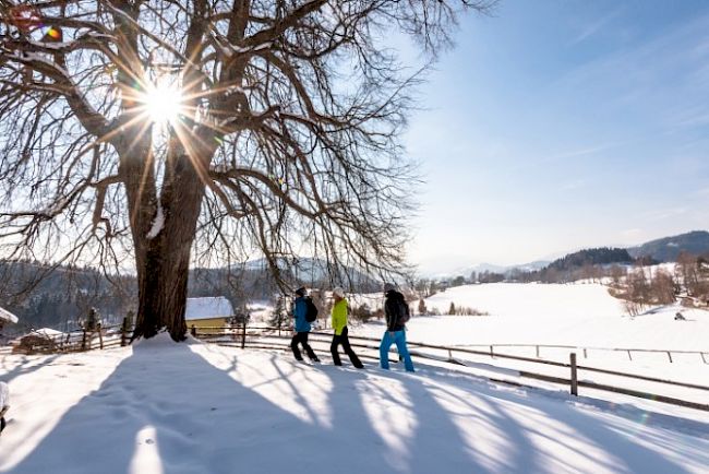 © KOGLERs Pfeffermühle Hotel & Restaurant > foto_16.jpg foto_16.jpg